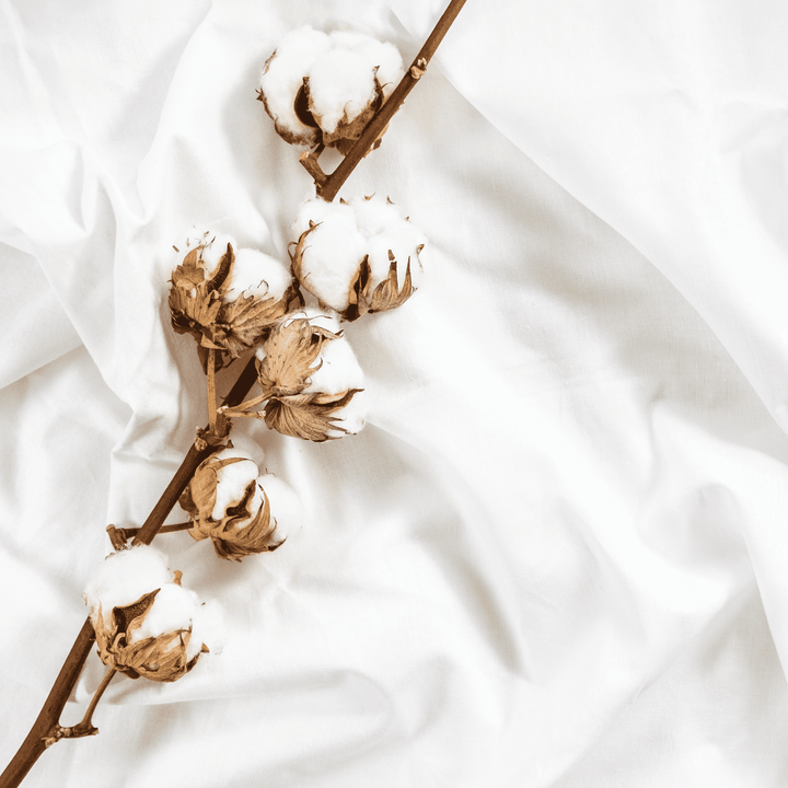 600TC_Egyptian_Cotton #color_white